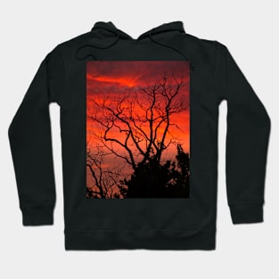 Sunset Hoodie